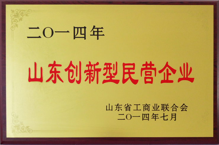 山東工商業(yè)聯(lián)合會(huì)頒發(fā)：山東創(chuàng)新型民營(yíng)企業(yè)